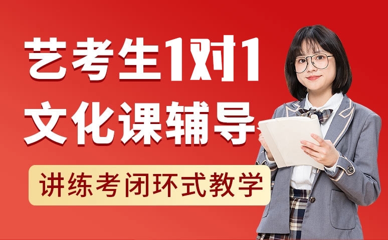 艺考文化课1对1课程